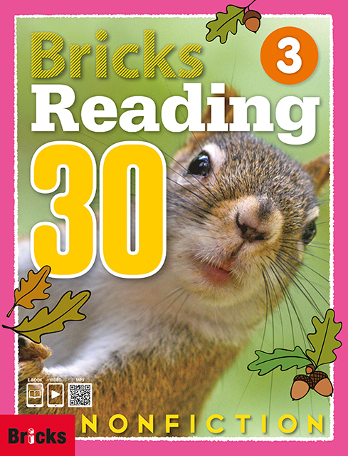 Bricks Reading 30 Nonfiction 3